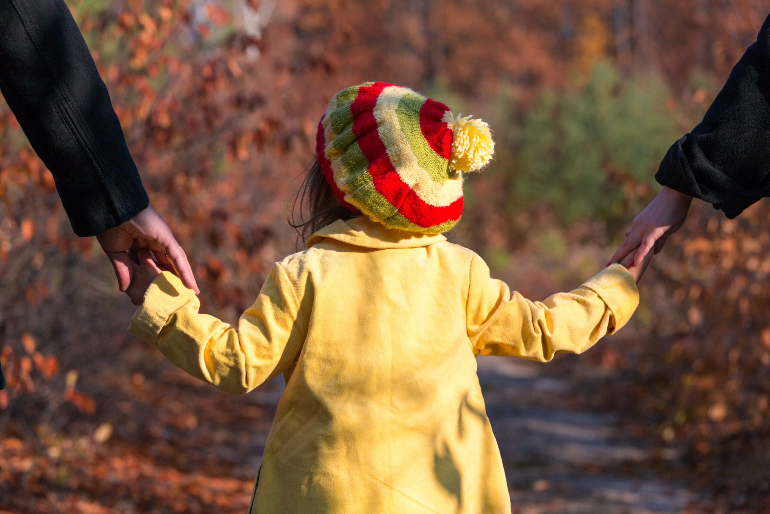 Child Support Lawyer In Alabama